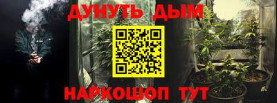 mdpv Гатчина