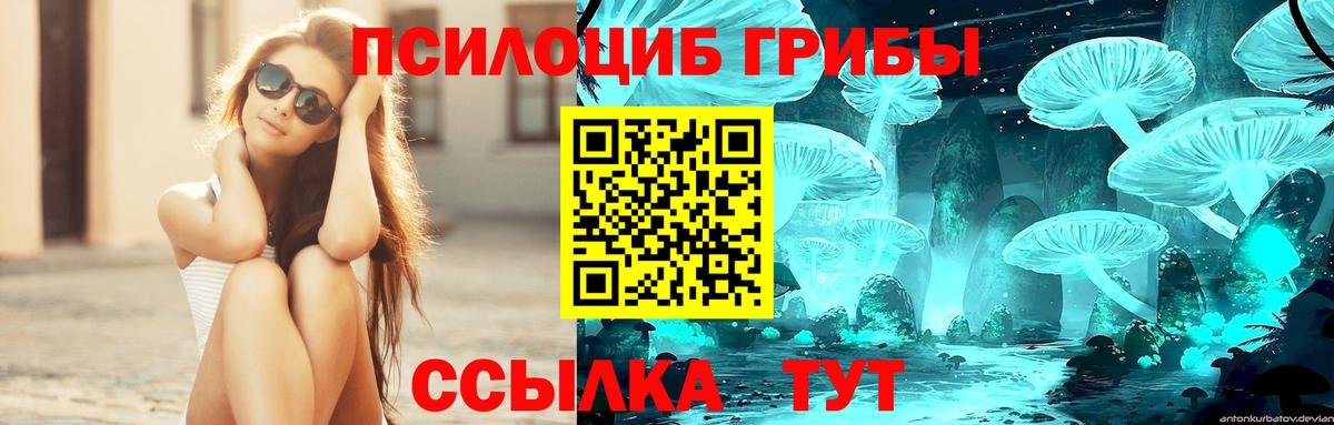 Галлюциногенные грибы ЛСД Снежинск